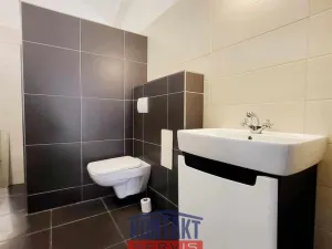 Pronájem bytu 1+kk, České Budějovice - České Budějovice 3, 48 m2