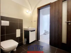 Pronájem bytu 1+kk, České Budějovice - České Budějovice 3, 48 m2