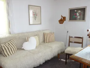 Prodej chaty, Kunštát, 60 m2