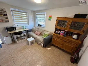 Prodej zahrady, Litoměřice - Pokratice, 442 m2