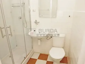 Pronájem bytu 1+1, Neratovice, 27 m2