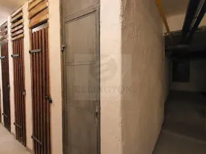 Prodej bytu 1+kk, Praha - Michle, Podle Kačerova, 29 m2