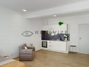 Pronájem bytu 1+kk, České Budějovice, Puklicova, 38 m2