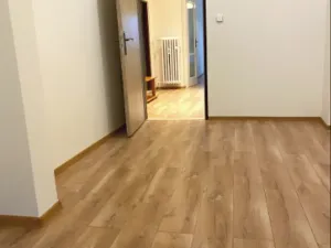 Prodej bytu 3+kk, Praha - Břevnov, Patočkova, 50 m2