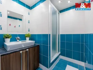 Pronájem bytu 2+1, Sokolov, Alšova, 62 m2