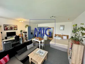 Pronájem bytu 1+kk, Brno, Tomečkova, 44 m2