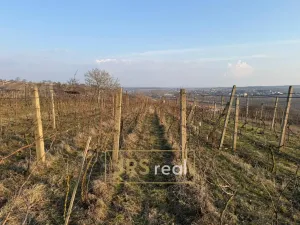 Prodej pozemku, Mutěnice, 2669 m2