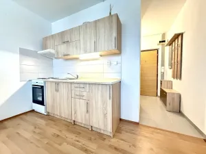 Pronájem bytu 1+1, Staré Sedliště, 42 m2