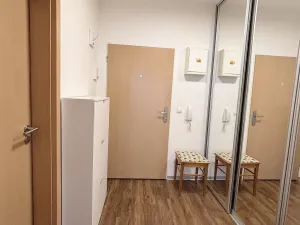 Pronájem bytu 1+kk, Olomouc, Wellnerova, 45 m2