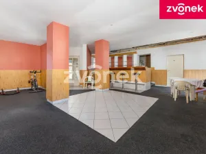 Prodej komerční nemovitosti, Zlín, Ševcovská, 267 m2