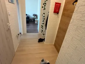 Prodej bytu 2+1, Most, Maxe Švabinského, 53 m2