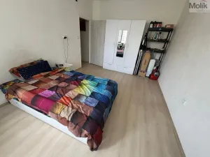 Prodej bytu 2+1, Most, Maxe Švabinského, 53 m2