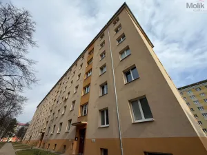 Prodej bytu 2+1, Most, Maxe Švabinského, 53 m2