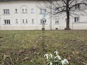 Prodej bytu 2+1, Ostrava - Hrabůvka, Jubilejní, 81 m2