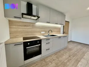 Pronájem bytu 2+kk, Návsí, 46 m2