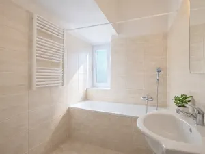 Pronájem bytu 1+1, Brno, Havlišova, 48 m2