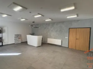 Pronájem výrobních prostor, Hradec Králové, U Fotochemy, 220 m2