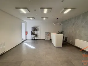 Pronájem výrobních prostor, Hradec Králové, U Fotochemy, 220 m2