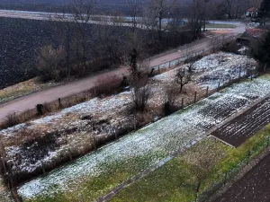 Prodej pozemku, Prušánky, Nová, 540 m2