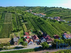 Prodej vinného sklepa, Mutěnice, 210 m2