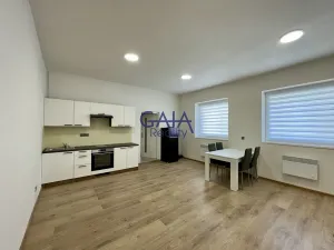 Pronájem bytu 1+kk, Veselí nad Moravou, Zámecká, 44 m2