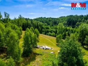 Prodej pozemku, Dlouhý Most, 8531 m2