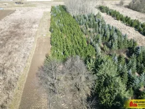 Prodej pole, Znojmo, 2970 m2