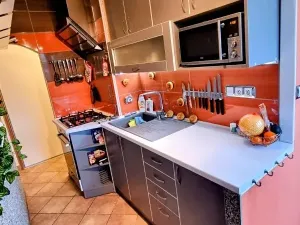 Prodej bytu 3+1, Jihlava, Okružní, 65 m2