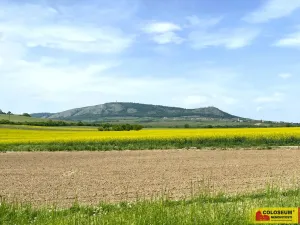 Prodej pozemku pro bydlení, Pavlov, 1132 m2