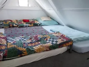 Prodej zahrady, Nový Šaldorf-Sedlešovice - Nový Šaldorf, 898 m2