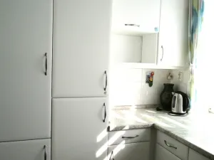 Prodej rodinného domu, Plzeň - Východní Předměstí, 160 m2