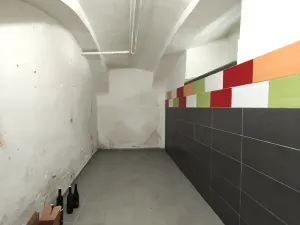 Pronájem skladu, Šenov, U Alejského dvora, 106 m2