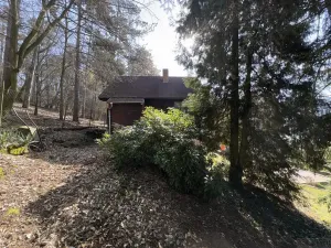 Prodej chaty, Kaliště, 54 m2