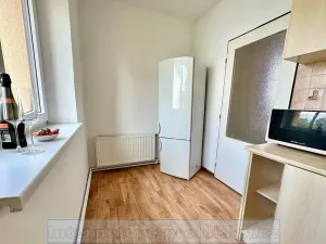 Pronájem bytu 1+1, Praha - Žižkov, U kněžské louky, 70 m2