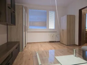 Pronájem bytu 1+1, Krupka, Karla Čapka, 36 m2