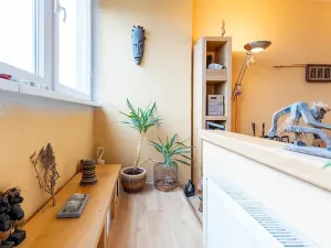 Pronájem bytu 1+kk, Ústí nad Labem, Hoření, 22 m2