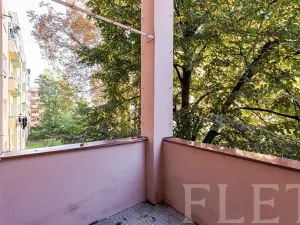 Pronájem bytu 1+kk, Praha - Žižkov, Biskupcova, 38 m2