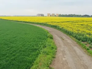 Prodej pole, Klecany, V Honech, 5953 m2