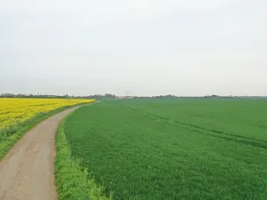 Prodej pole, Klecany, V Honech, 5953 m2