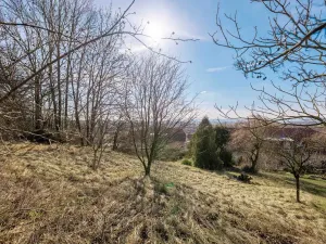 Prodej bytu 3+kk, Tisová, 71 m2