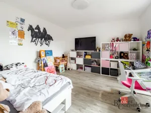 Prodej rodinného domu, Nová Ves, 351 m2