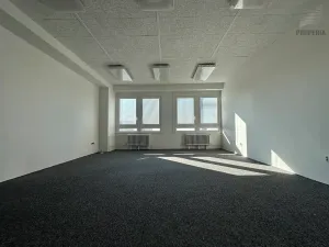 Pronájem kanceláře, Brno, Okružní, 20 m2
