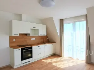 Pronájem bytu 2+kk, Písek, Bořivojova, 35 m2