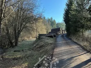 Prodej louky, Bozkov, 5815 m2