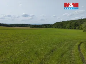 Pronájem chaty, Heřmanův Městec, Na Ježkovce, 387 m2