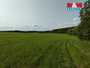 Pronájem chaty, Heřmanův Městec, Na Ježkovce, 387 m2