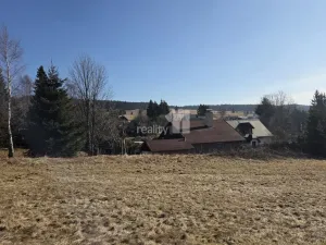 Prodej chalupy, Horní Blatná, Lesní, 1463 m2