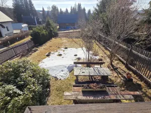 Prodej chalupy, Horní Blatná, Lesní, 1463 m2