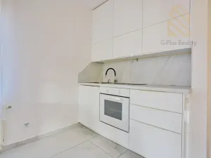 Prodej bytu 3+kk, Velemín - Oparno, 45 m2