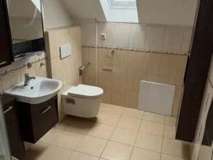 Prodej rodinného domu, Šanov, Dlouhá, 228 m2